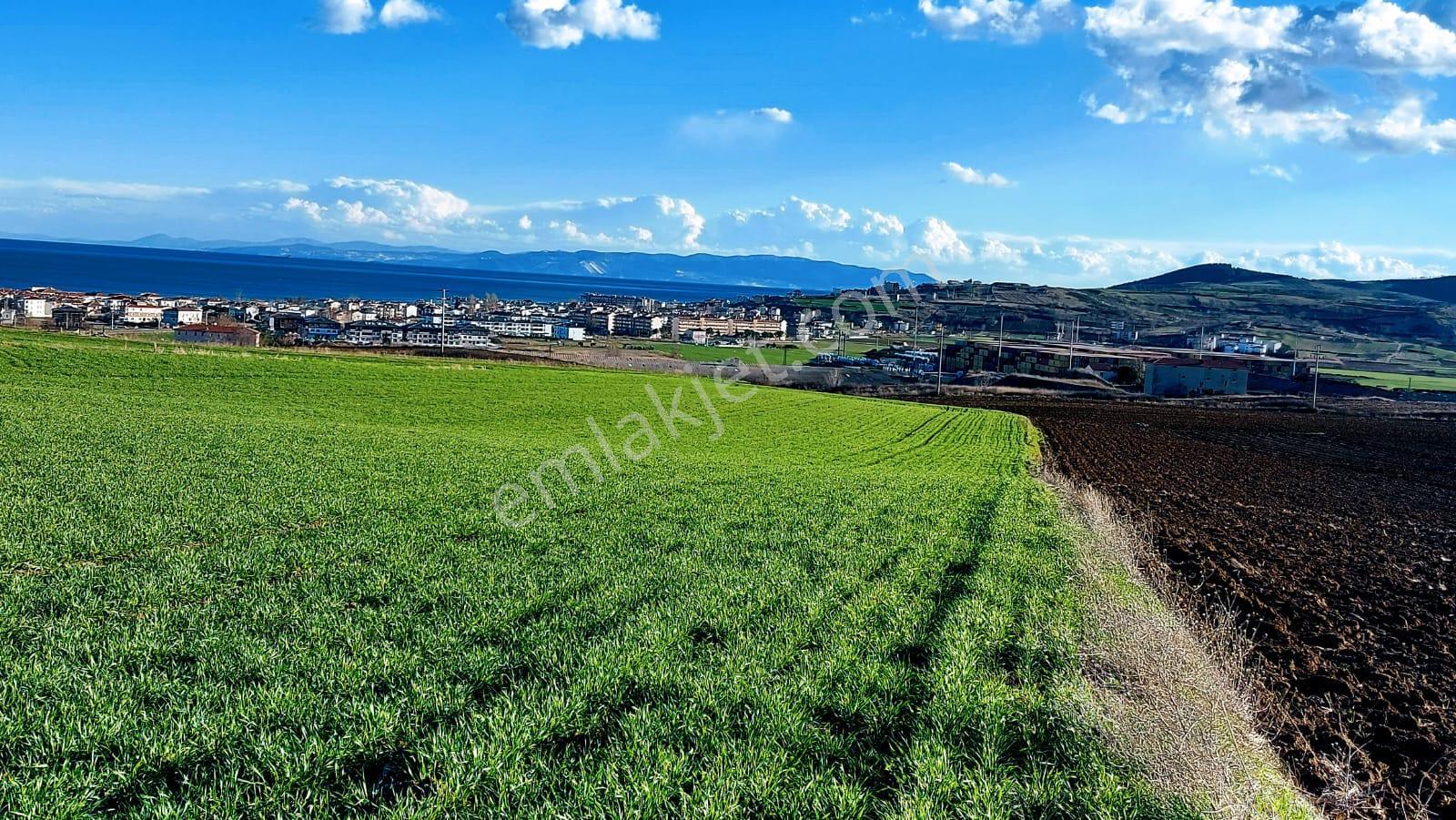 Kumbağa 1 Km Yakınlıkta Full Deniz Ve Doğa Manzaralı Yüksek Kazanç Garantisi - Görsel 17