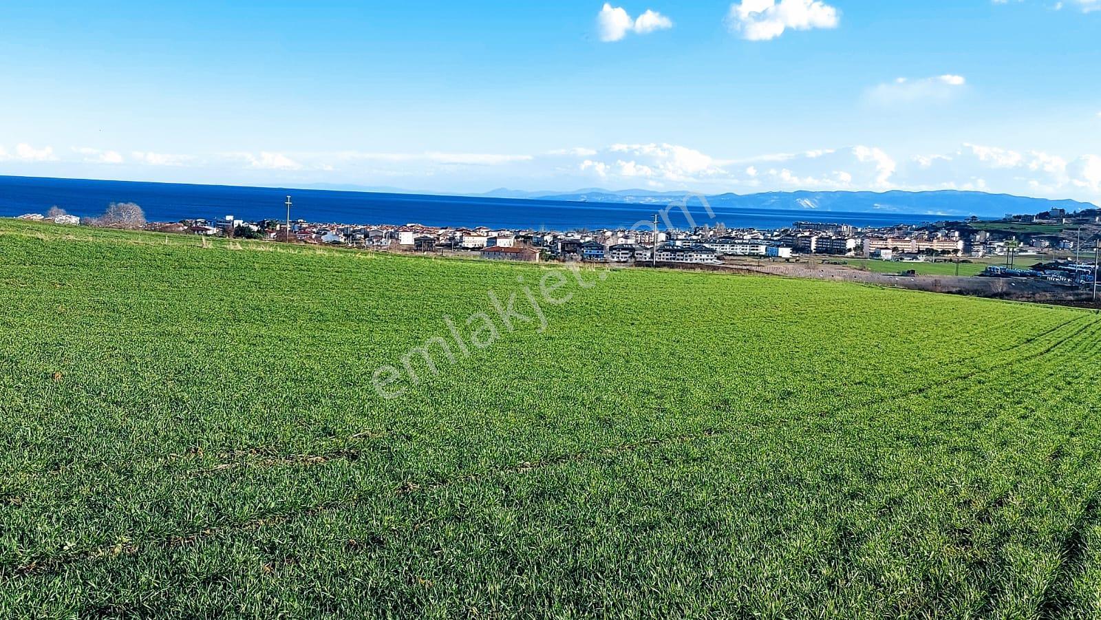 Kumbağa 1 Km Yakınlıkta Full Deniz Ve Doğa Manzaralı Yüksek Kazanç Garantisi - Görsel 15