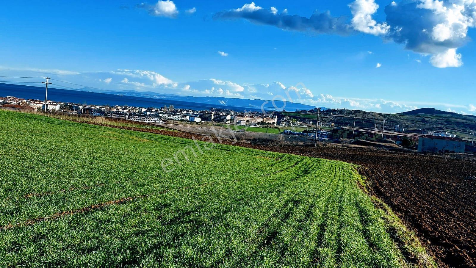 Kumbağa 1 Km Yakınlıkta Full Deniz Ve Doğa Manzaralı Yüksek Kazanç Garantisi - Görsel 13