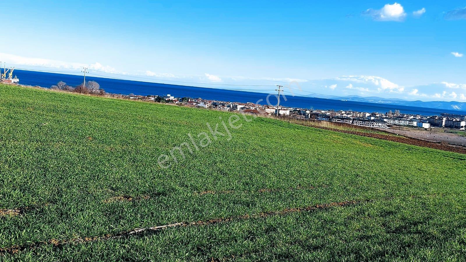 Kumbağa 1 Km Yakınlıkta Full Deniz Ve Doğa Manzaralı Yüksek Kazanç Garantisi - Görsel 23