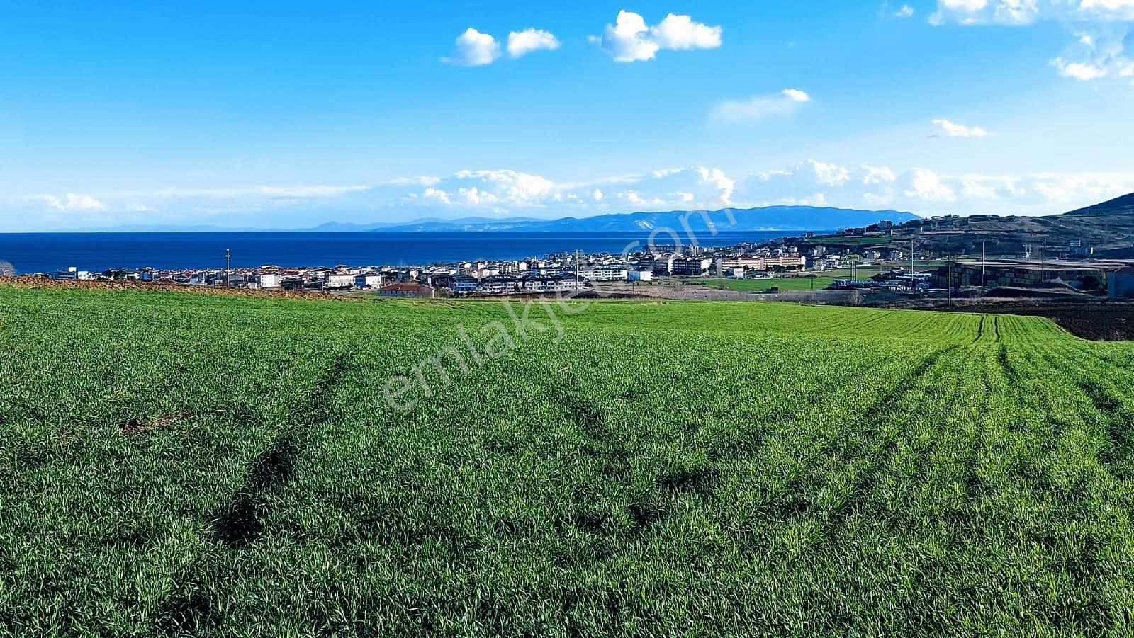 Kumbağa 1 Km Yakınlıkta Full Deniz Ve Doğa Manzaralı Yüksek Kazanç Garantisi - Görsel 9