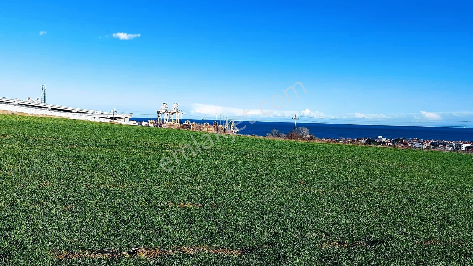 Kumbağa 1 Km Yakınlıkta Full Deniz Ve Doğa Manzaralı Yüksek Kazanç Garantisi - Görsel 3
