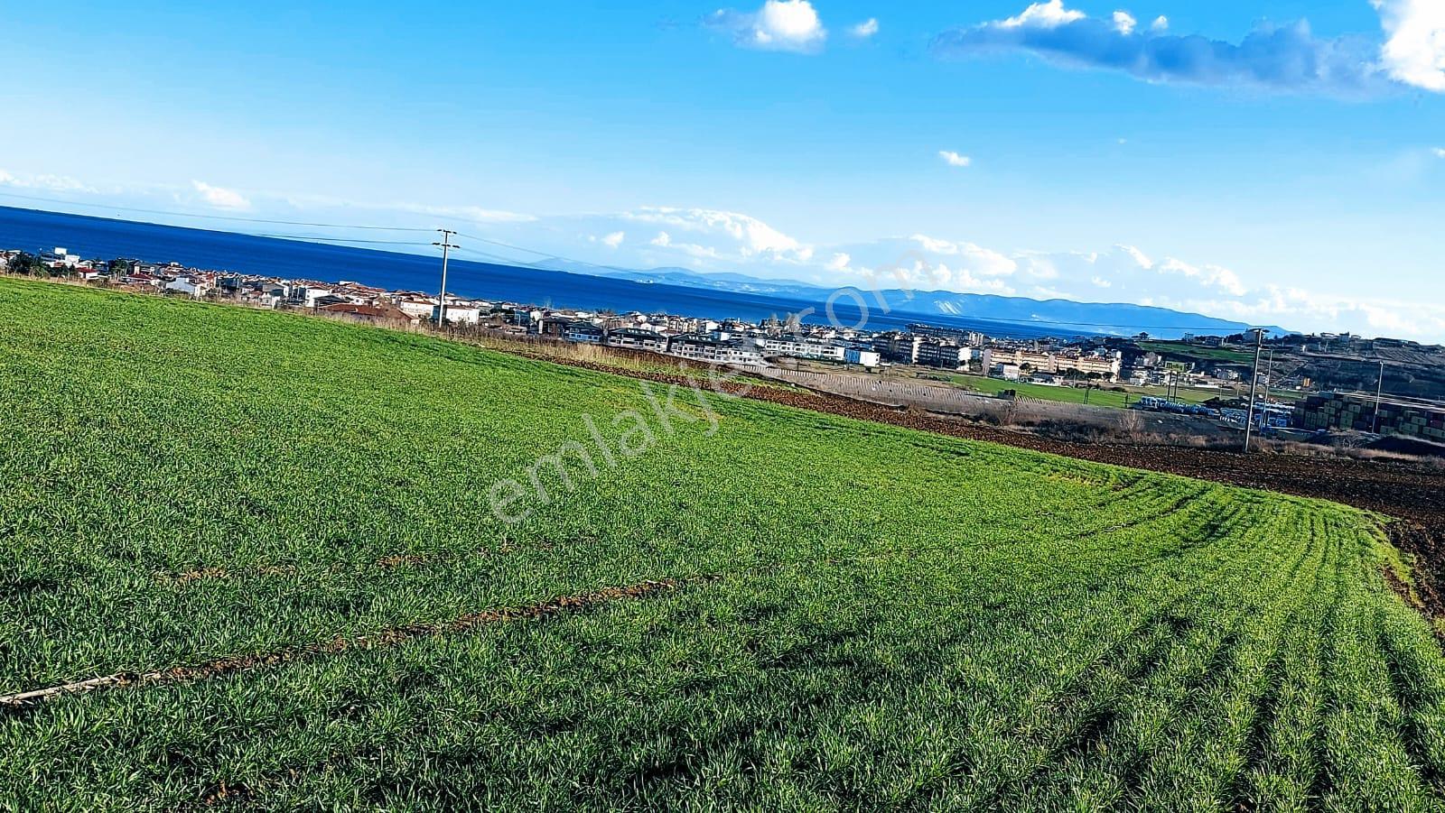 Kumbağa 1 Km Yakınlıkta Full Deniz Ve Doğa Manzaralı Yüksek Kazanç Garantisi - Görsel 26
