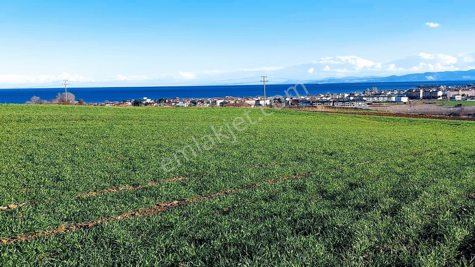 Kumbağa 1 Km Yakınlıkta Full Deniz Ve Doğa Manzaralı Yüksek Kazanç Garantisi - Görsel 10