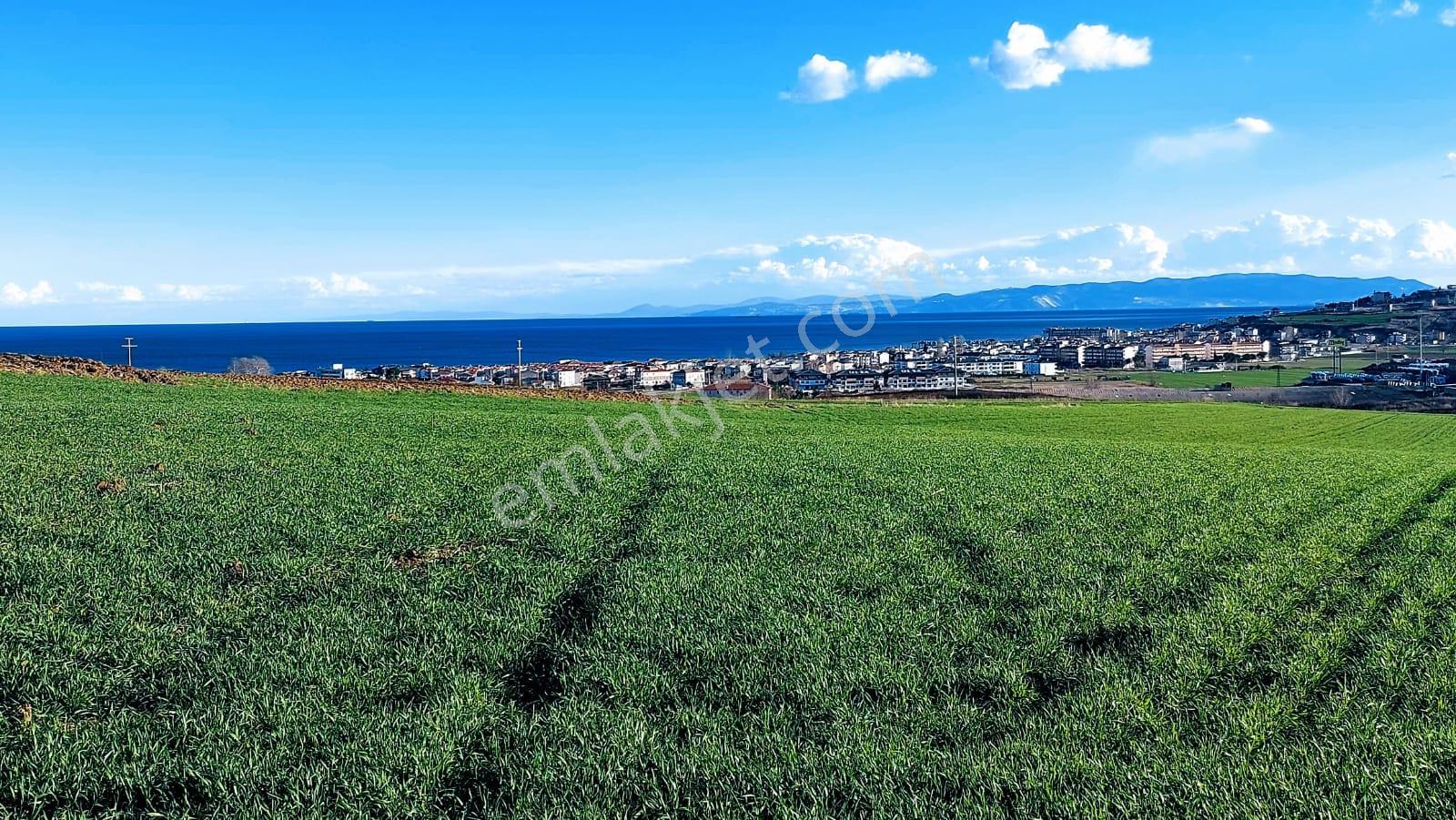 Kumbağa 1 Km Yakınlıkta Full Deniz Ve Doğa Manzaralı Yüksek Kazanç Garantisi - Görsel 12