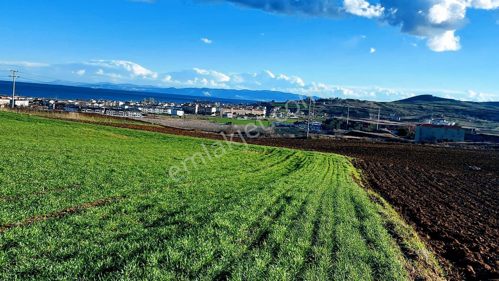 Kumbağa 1 Km Yakınlıkta Full Deniz Ve Doğa Manzaralı Yüksek Kazanç Garantisi - Görsel 4