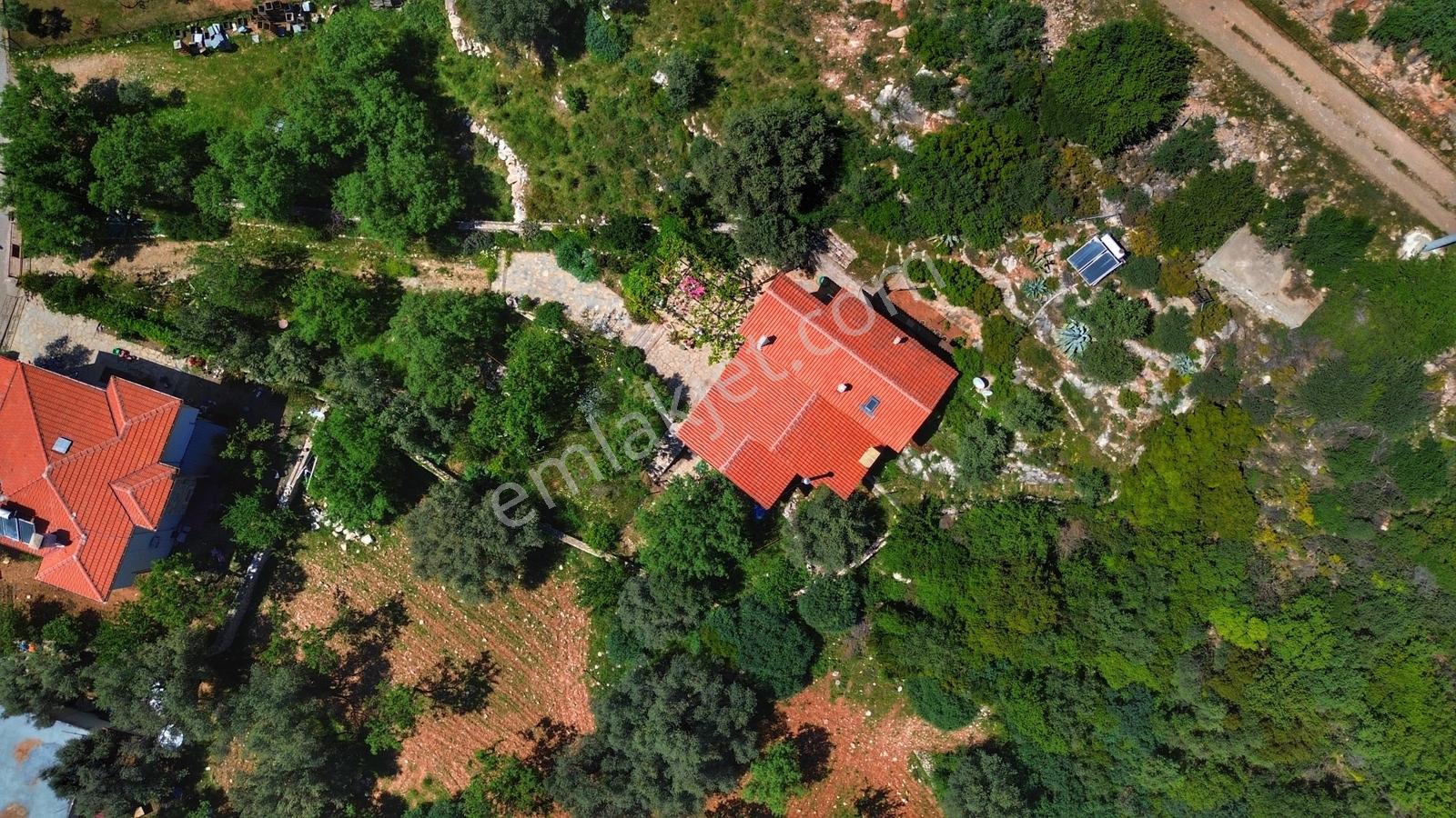 Datça Zeytincik'te Satılık 1200m² Doğa İçinde Özgün 3+1 Taş Ev - Görsel 8
