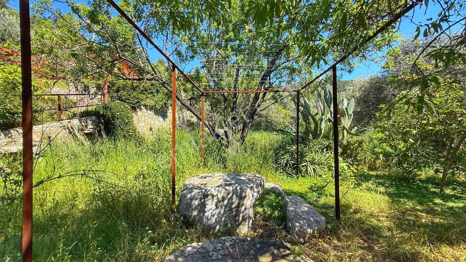 Datça Zeytincik'te Satılık 1200m² Doğa İçinde Özgün 3+1 Taş Ev - Görsel 18