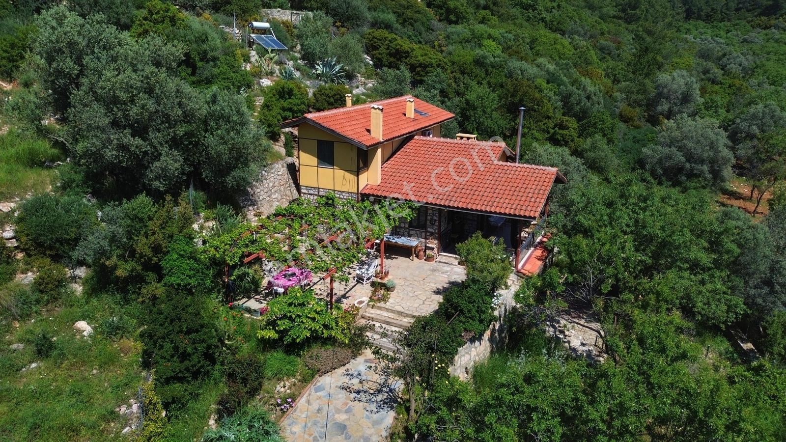 Datça Zeytincik'te Satılık 1200m² Doğa İçinde Özgün 3+1 Taş Ev - Görsel 7