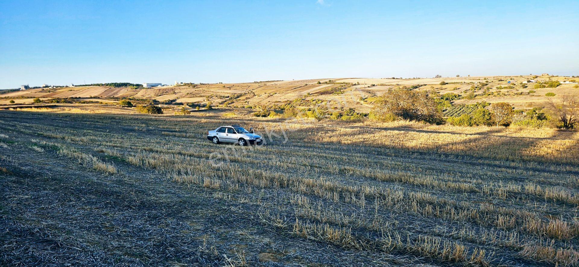Asyaport Lmanı Mevcut İmar Planı İçinde Yüksek Kazanç Garantisi - Görsel 14