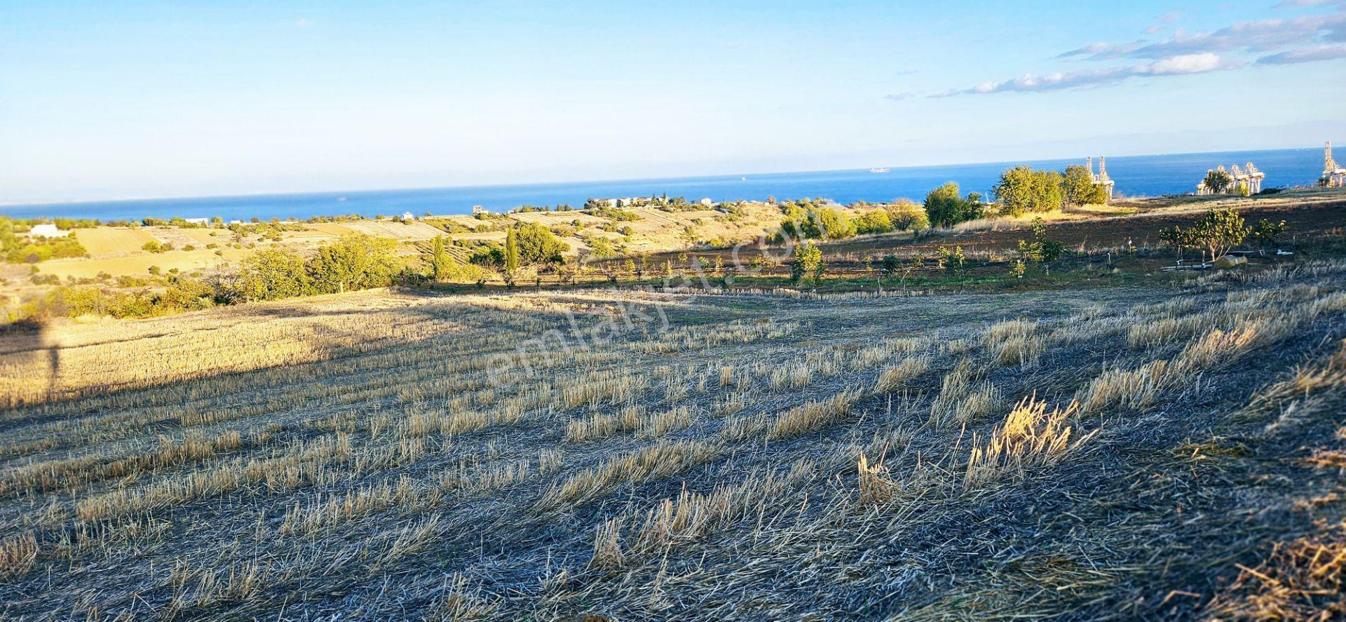 Asyaport Lmanı Mevcut İmar Planı İçinde Yüksek Kazanç Garantisi - Görsel 12