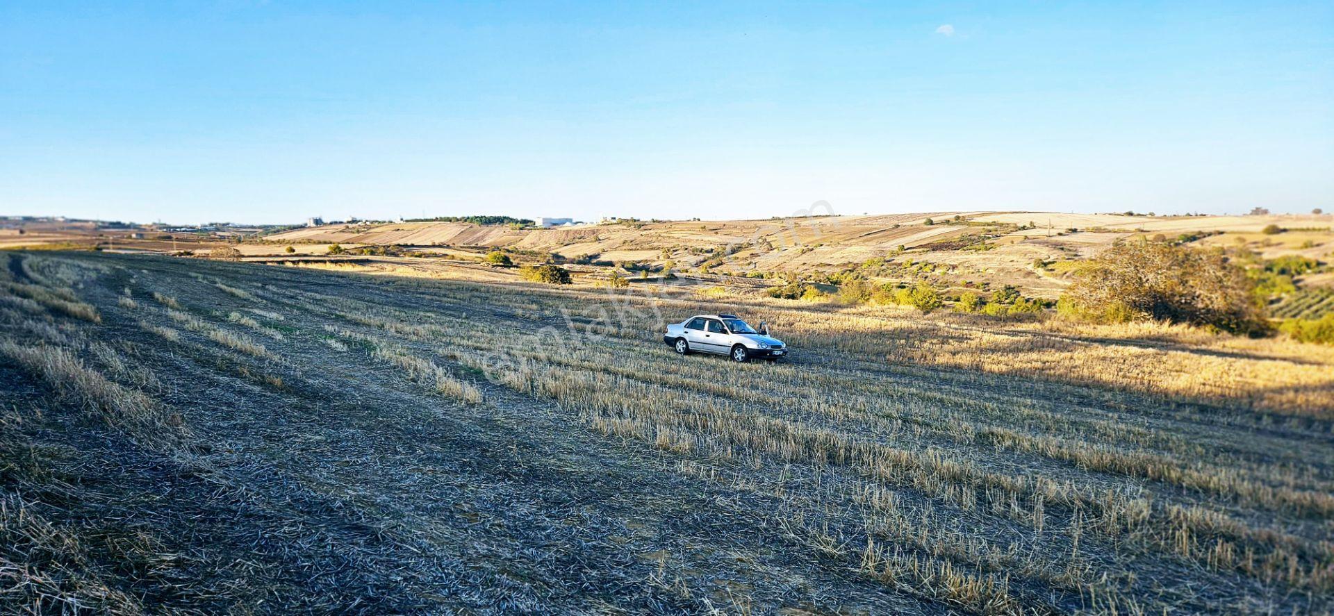 Asyaport Lmanı Mevcut İmar Planı İçinde Yüksek Kazanç Garantisi - Görsel 7
