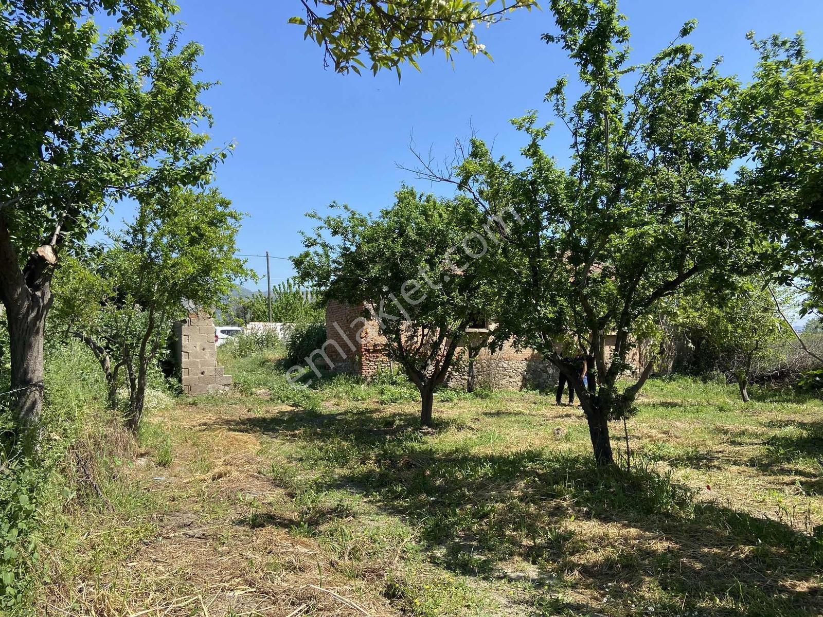 Remax Pin'den Aydın Pınarderede Kaçırılmayacak Yatırım Fırsatı - Görsel 18