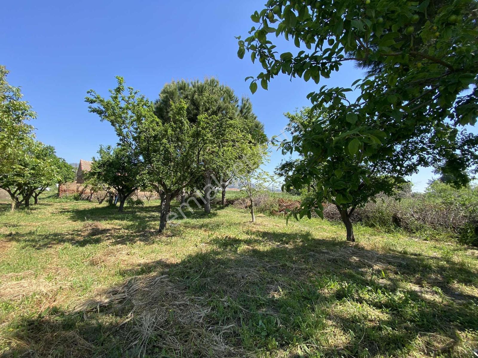 Remax Pin'den Aydın Pınarderede Kaçırılmayacak Yatırım Fırsatı - Görsel 4