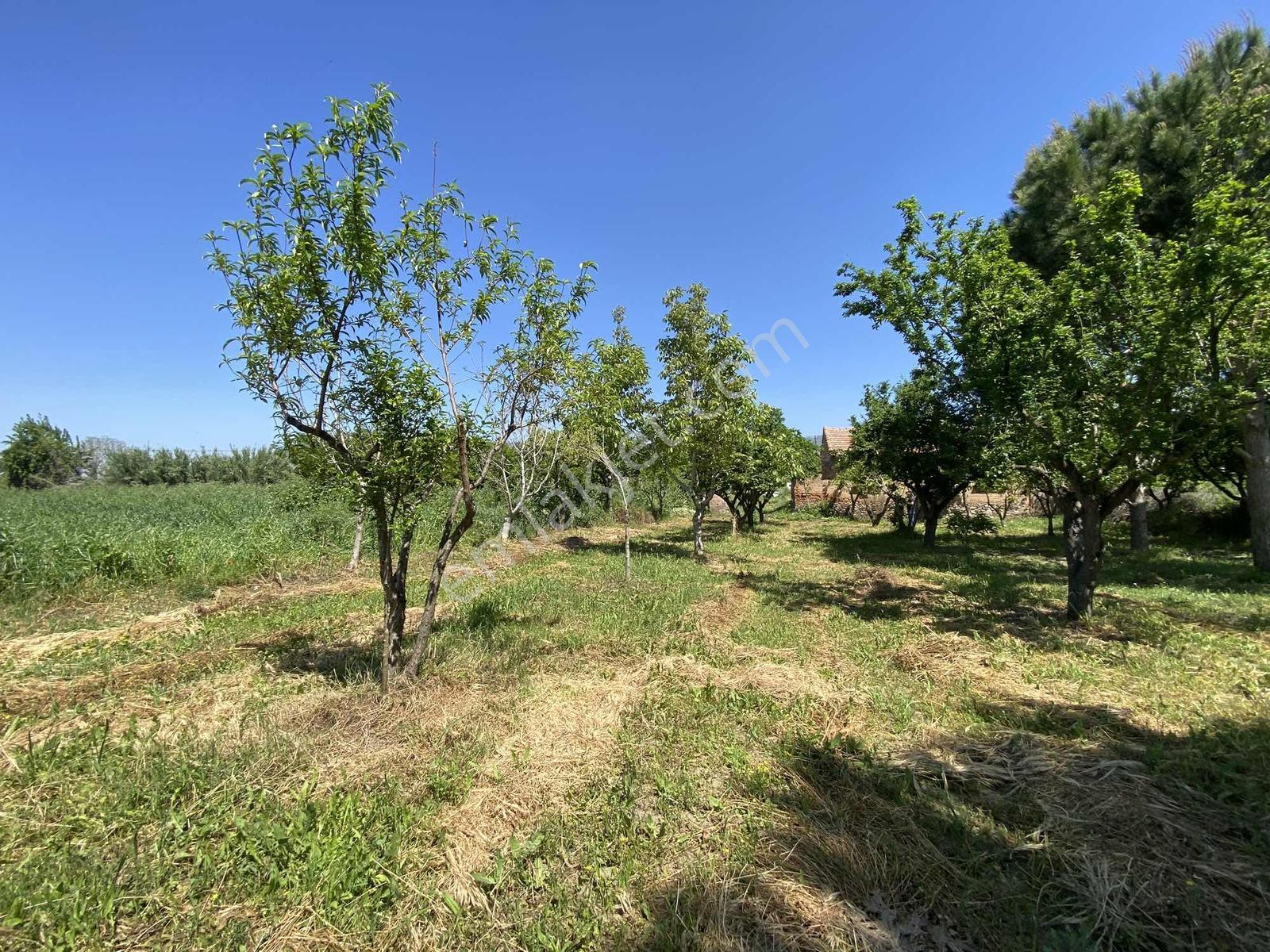 Remax Pin'den Aydın Pınarderede Kaçırılmayacak Yatırım Fırsatı - Görsel 3