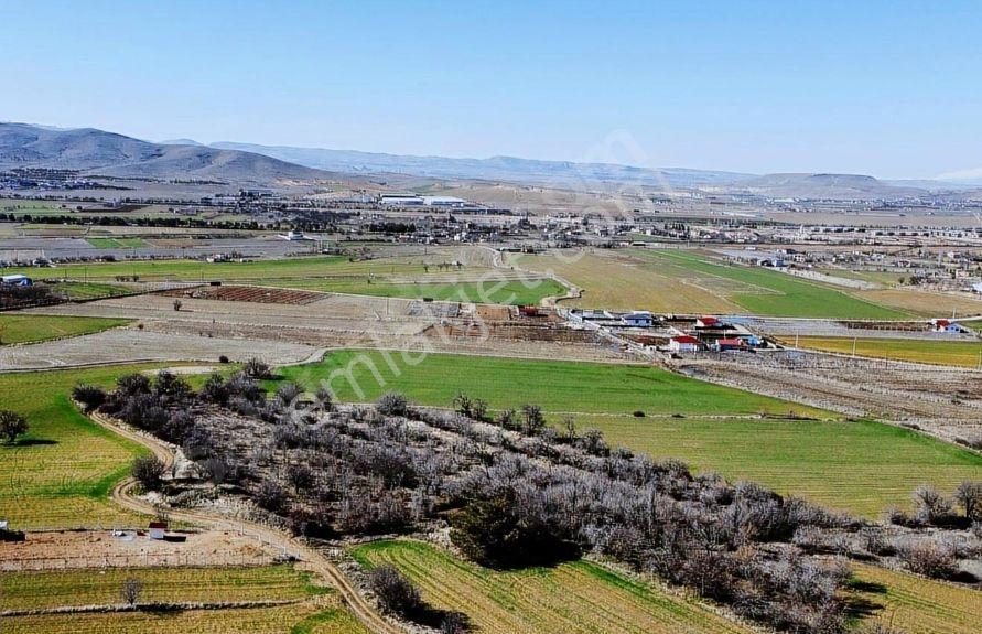 Aşağı Holpenk'te Yolu Olan Satılık Tarla... - Görsel 14