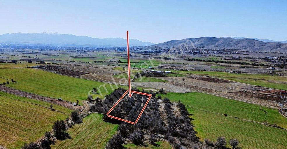 Aşağı Holpenk'te Yolu Olan Satılık Tarla... - Görsel 4