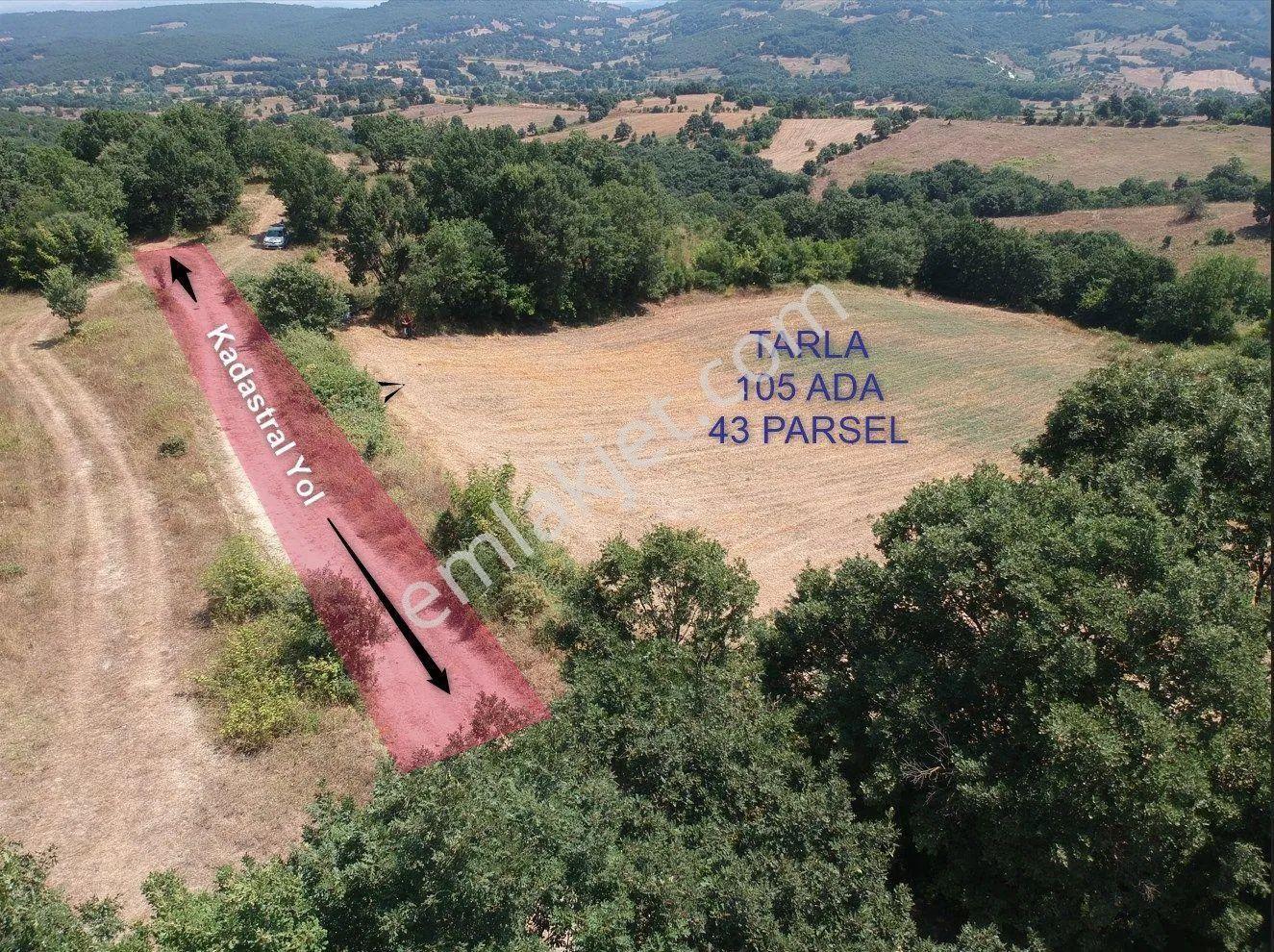 Acil Sahibinden Satılık , Ekili , Yola Cepheli, Takasa Uygun Tarla ! - Görsel 3