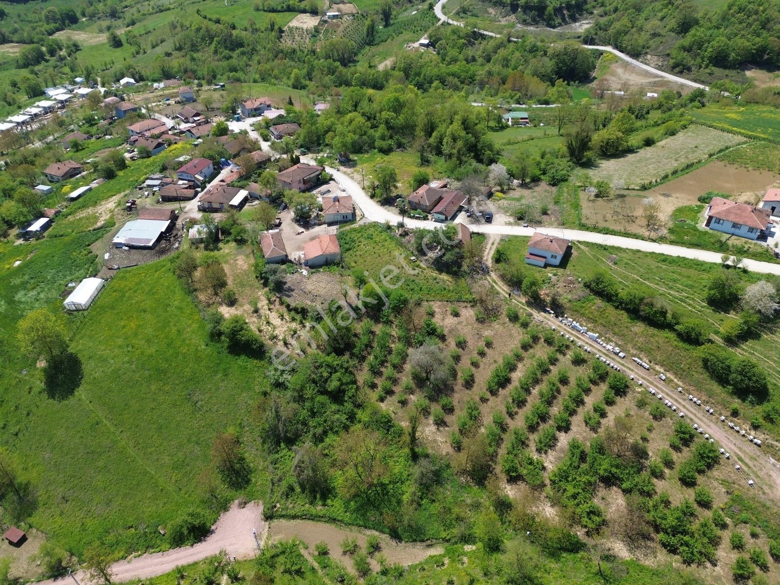 Kocaeli İzmit Zeytinburnu Mahallesi Satılık Köyiçi İmarlı Arsa - Görsel 13