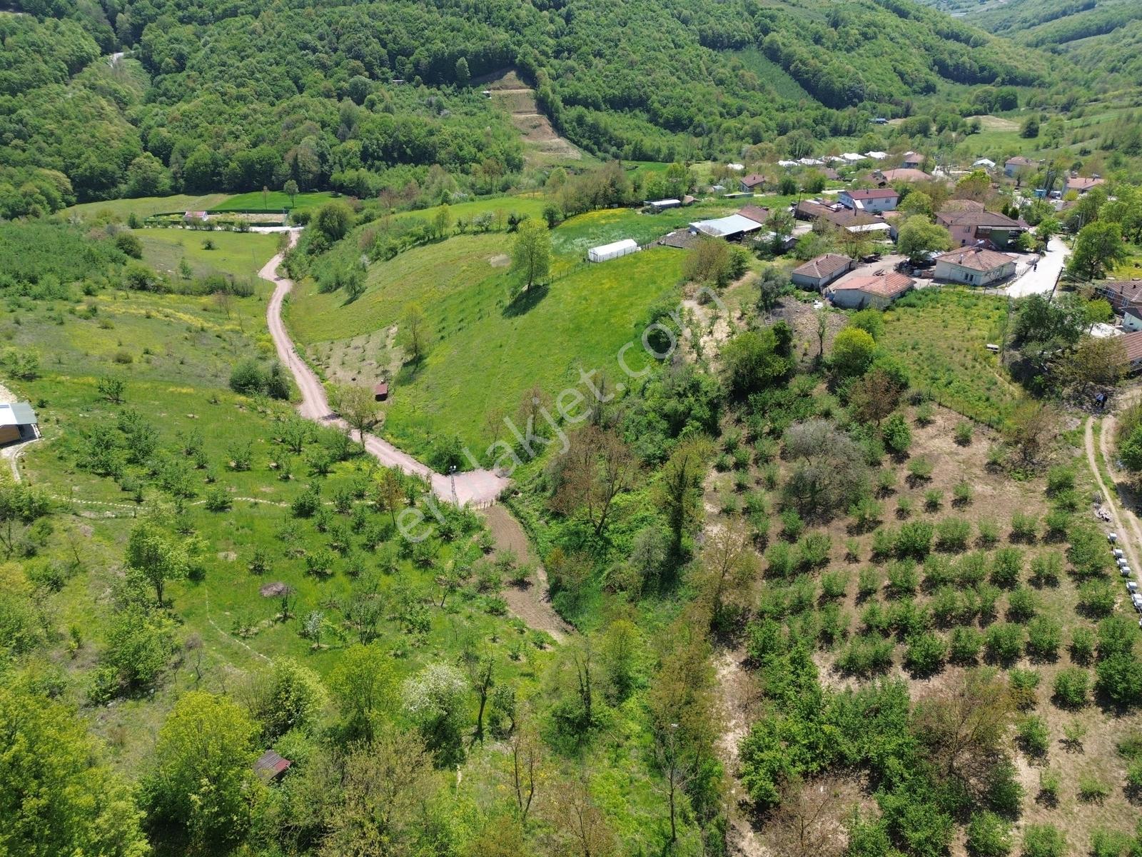 Kocaeli İzmit Zeytinburnu Mahallesi Satılık Köyiçi İmarlı Arsa - Görsel 6