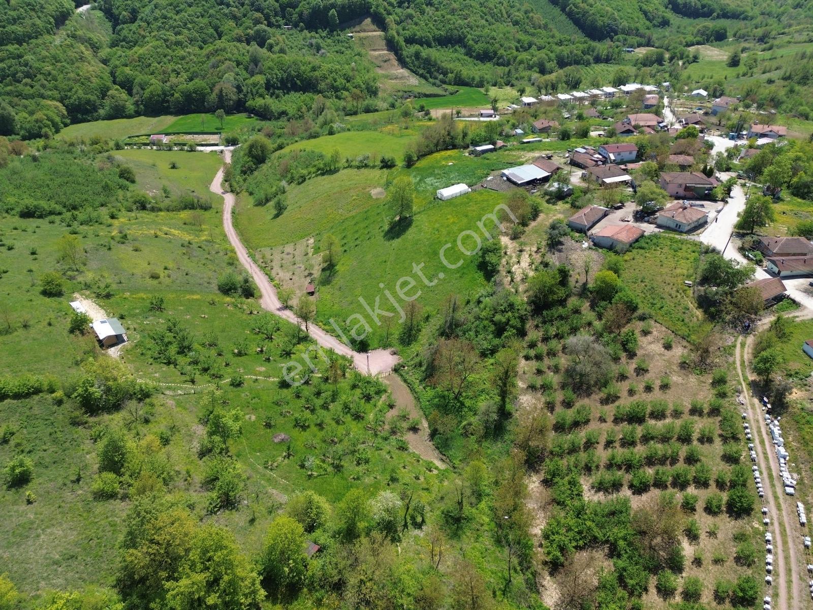 Kocaeli İzmit Zeytinburnu Mahallesi Satılık Köyiçi İmarlı Arsa - Görsel 5