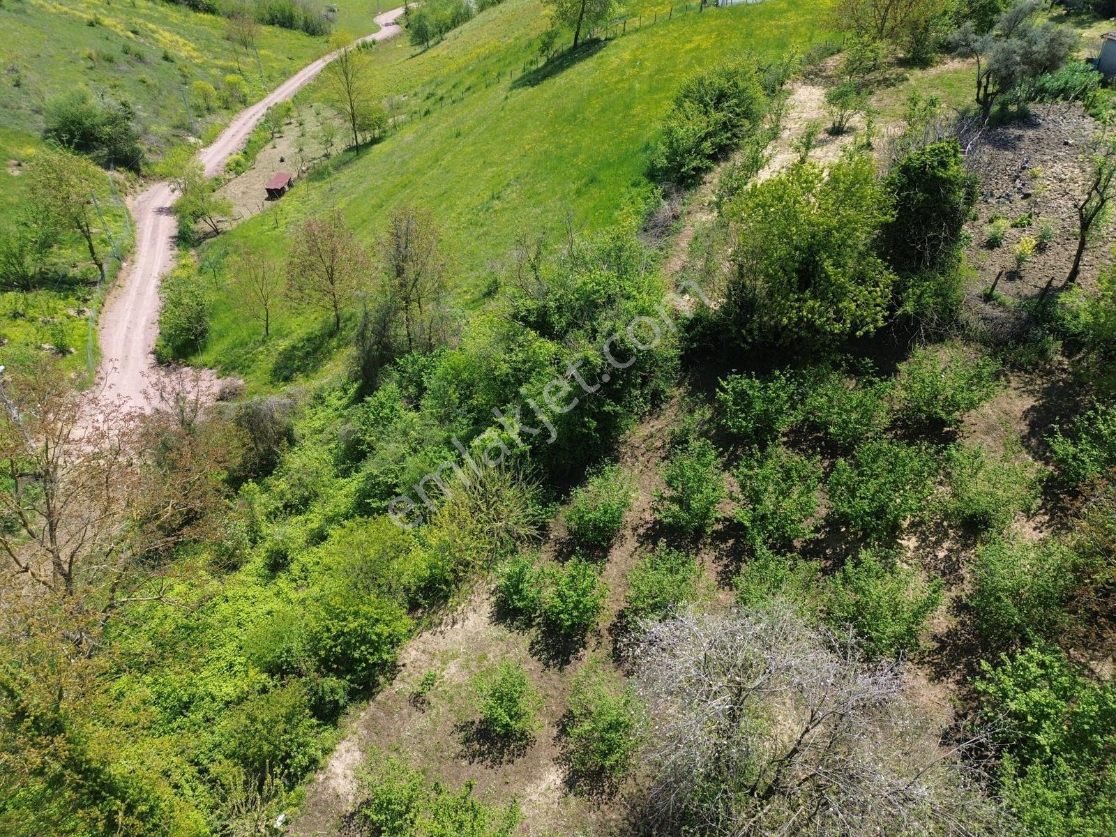 Kocaeli İzmit Zeytinburnu Mahallesi Satılık Köyiçi İmarlı Arsa - Görsel 2