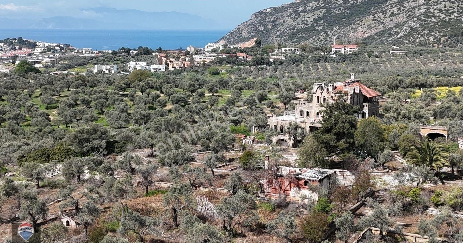 Şehır Merkezıne Yakın 15.033 M² Satılık Zeytınlık - Görsel 3