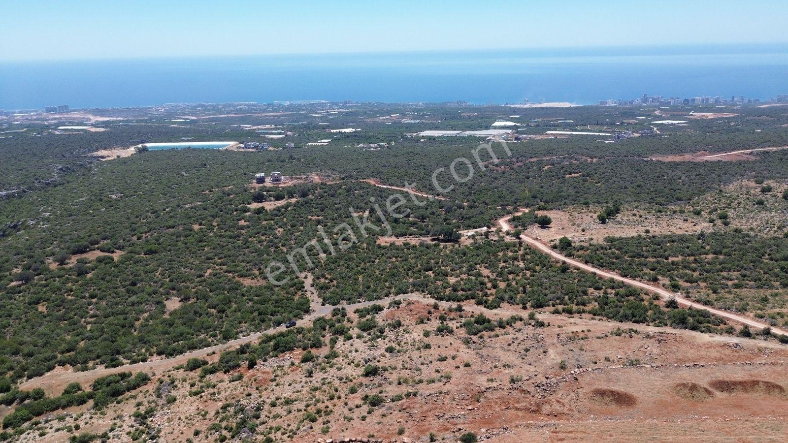 Erdemli Çanakçı Denize 5 Km 795 M2 Deniz Manzaralı Satılık Arsa - Görsel 6