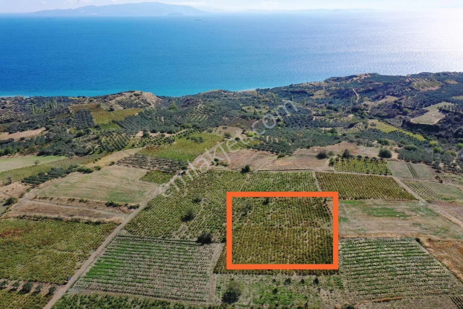 Bulut Yatırımdan 2610 M² Deniz Manzaralı Üzüm Bağı