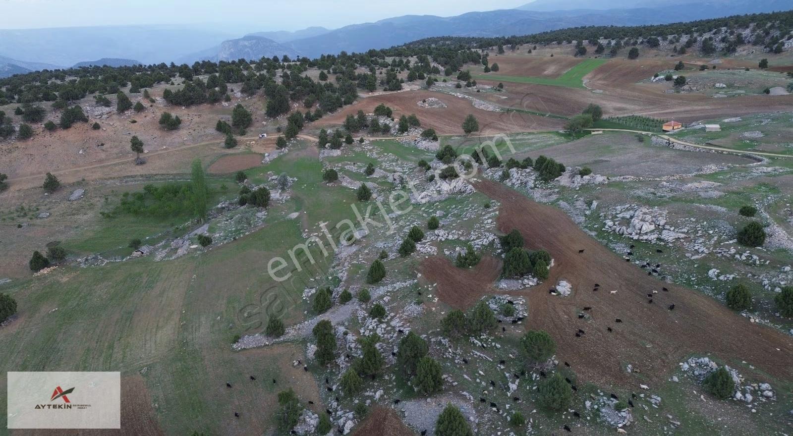 Karaman Merkez Yukarıkızılca Mahallesinde 2.732m² Müstakil Tarla - Görsel 8