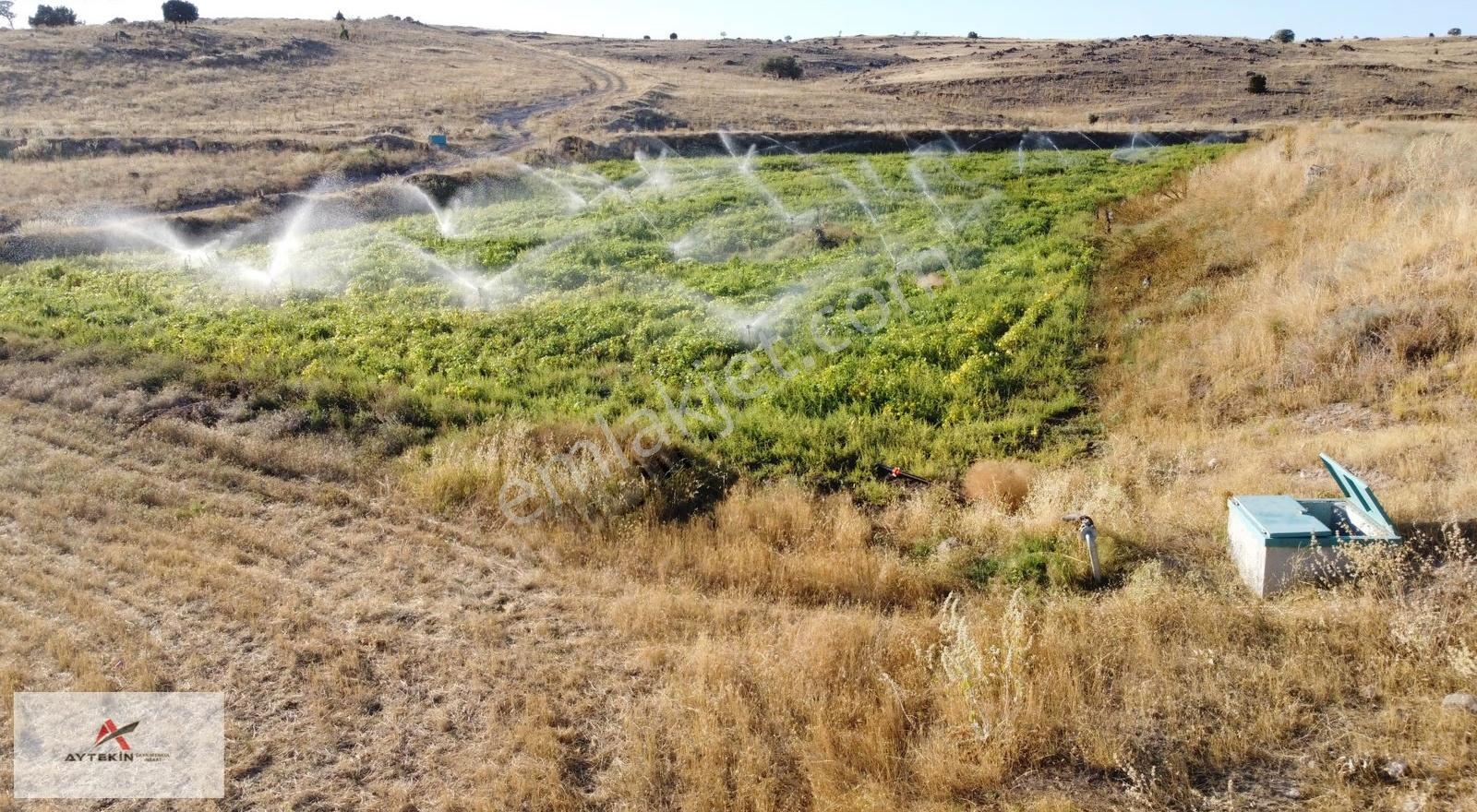 Akören Tülcede Sulak Bölgede 2.710 M² Müstakil Tapulu Tarla