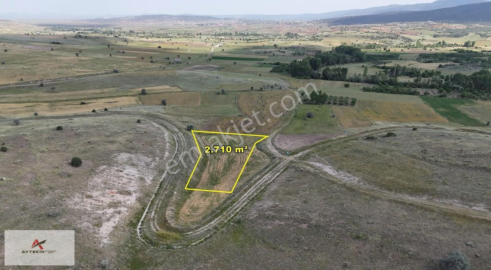 Akören Tülcede Sulak Bölgede 2.710 M² Müstakil Tapulu Tarla - Görsel 3