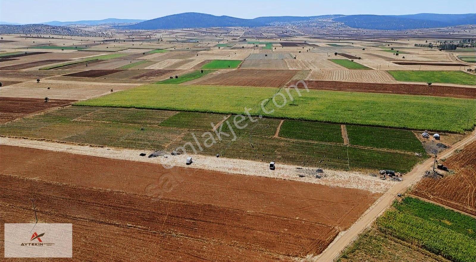 Akören Hacılarda 32.620 M² Müstakil Tapulu Tarla