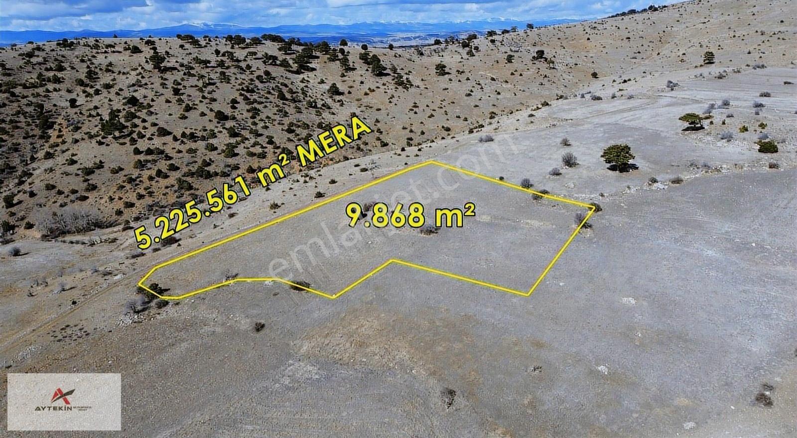 Ilgın Beleklerde Meraya Cepheli 9.868 M² Müstakil Tapulu Tarla - Görsel 4