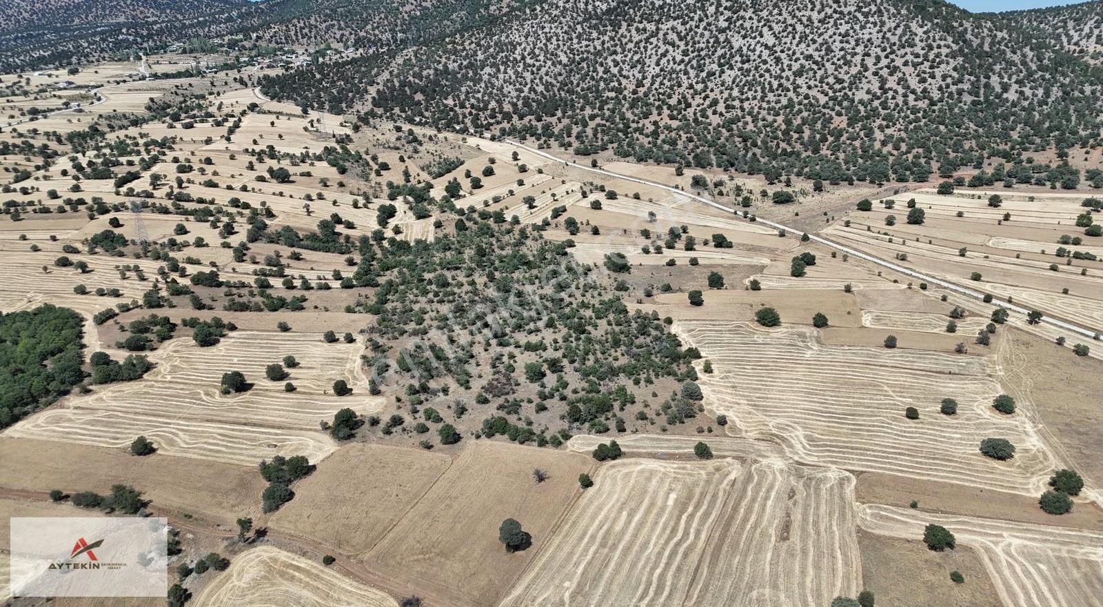 Güneysınır Kurukavakta 985 M² Müstakil Tapulu Tarla - Görsel 4