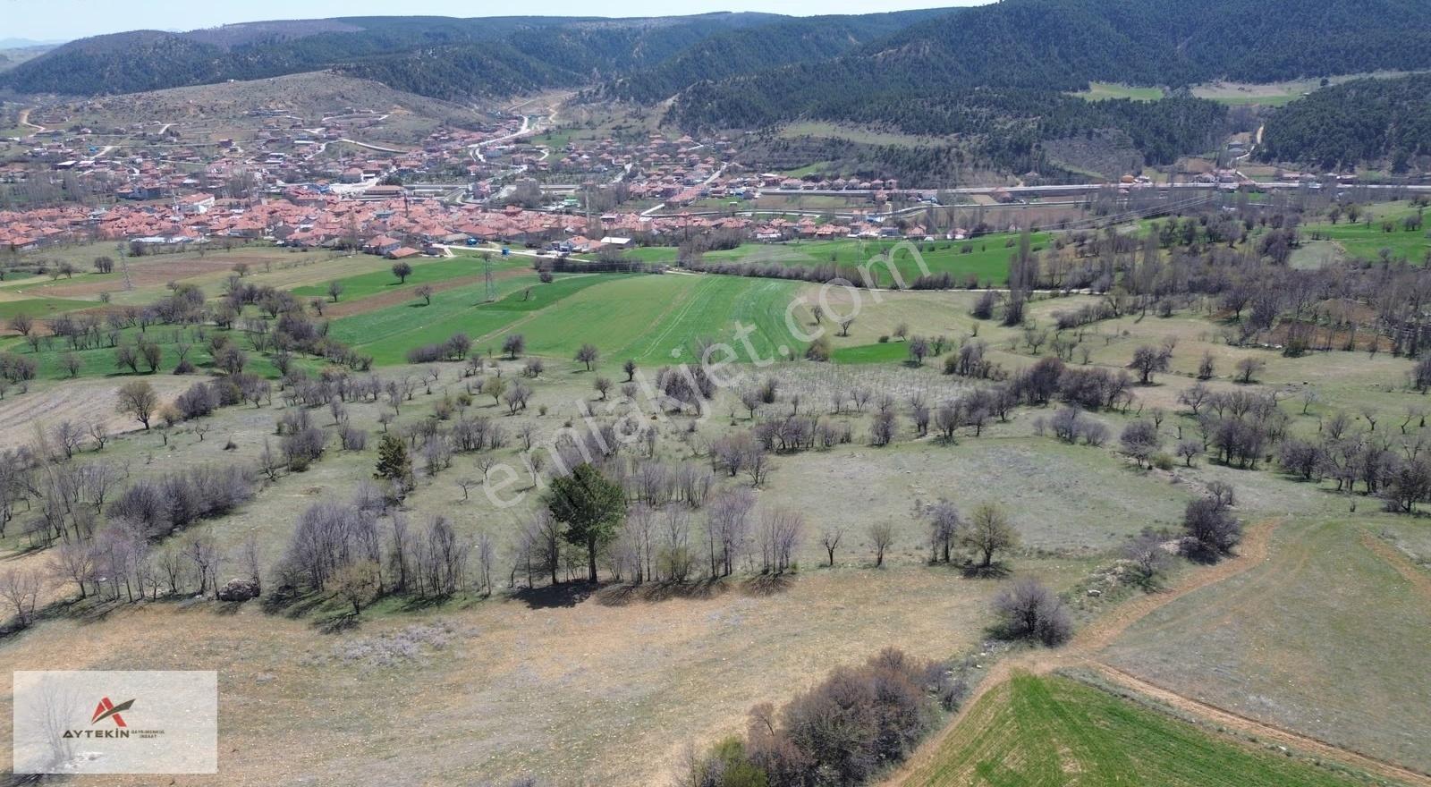 Ilgın Aşağıçiğil Akpınar Mahallesinde 1.840 M² Müstakil Bahçe - Görsel 8