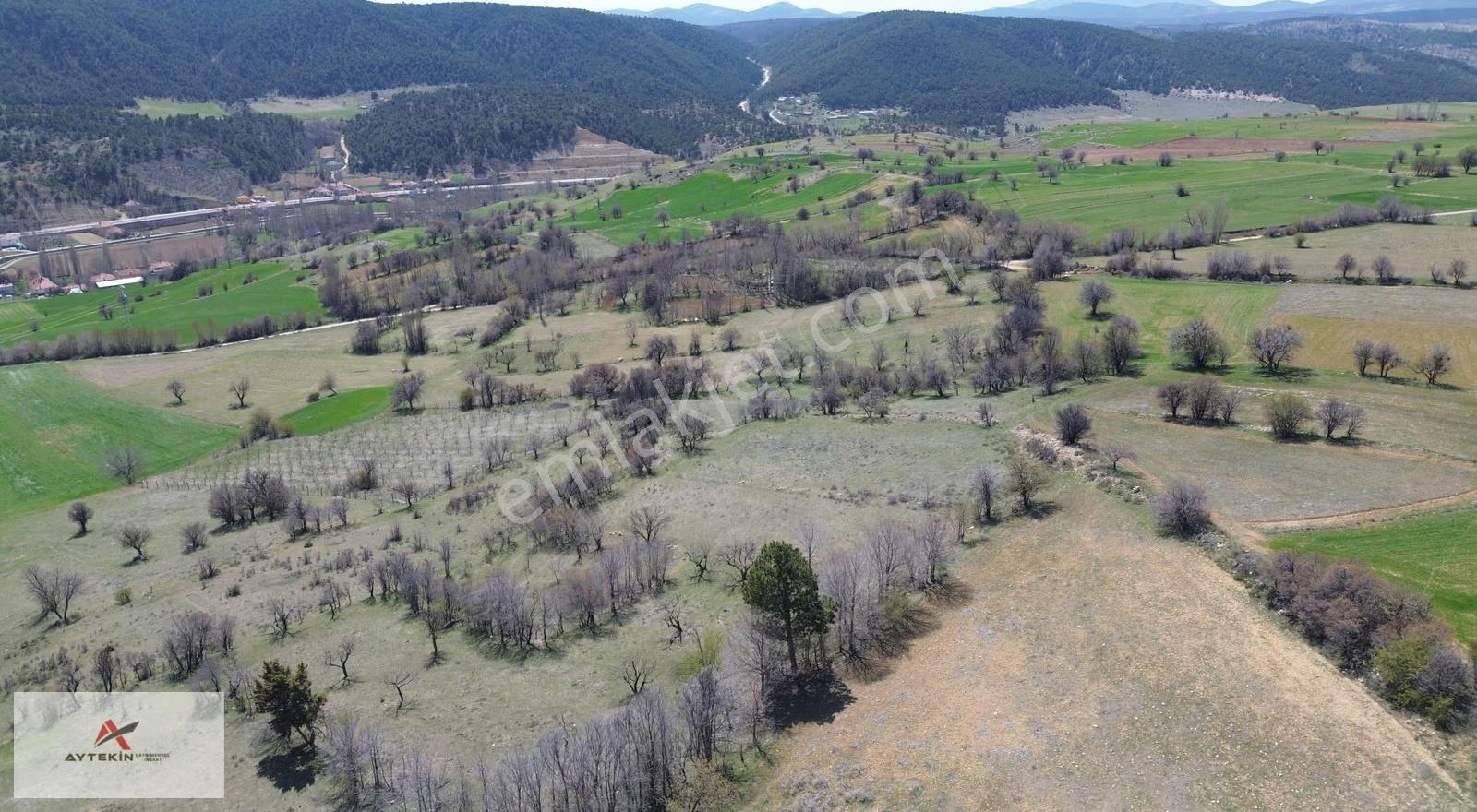 Ilgın Aşağıçiğil Akpınar Mahallesinde 1.840 M² Müstakil Bahçe - Görsel 7