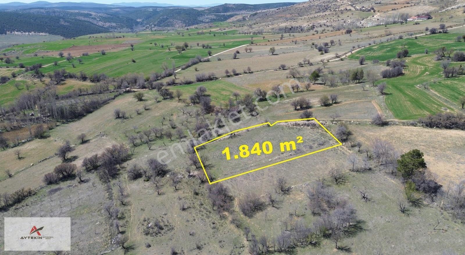 Ilgın Aşağıçiğil Akpınar Mahallesinde 1.840 M² Müstakil Bahçe - Görsel 6