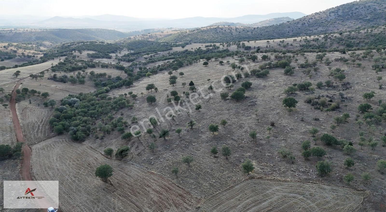 Güneysınır Gürağaç'da Orman Cepheli 2.294 M² Müstakil Tarla - Görsel 6