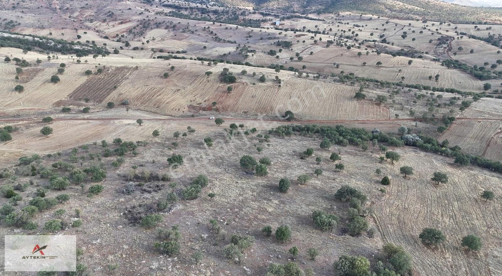 Güneysınır Gürağaç'da Orman Cepheli 2.294 M² Müstakil Tarla - Görsel 9