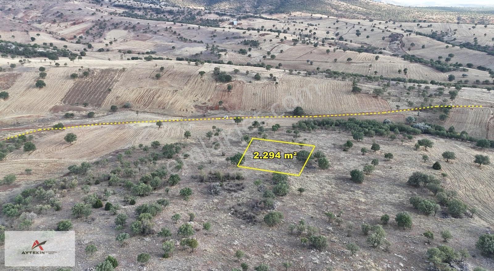 Güneysınır Gürağaç'da Orman Cepheli 2.294 M² Müstakil Tarla - Görsel 5
