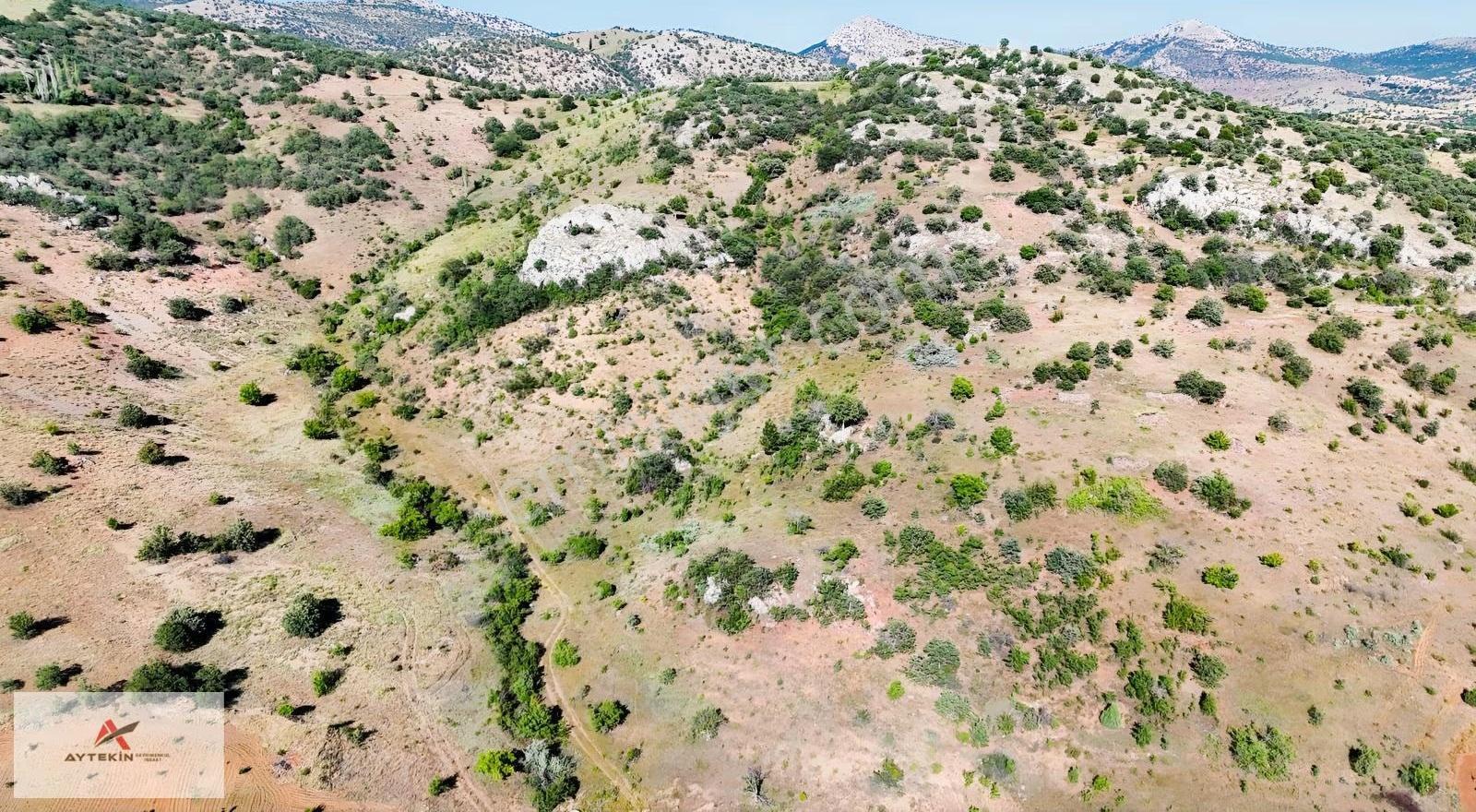 Güneysınır Gürağaç Mahallesinde 635 M² Müstakil Tapulu Bağ