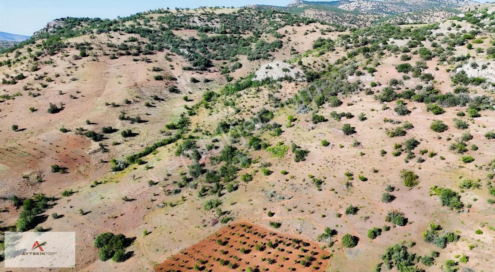 Güneysınır Gürağaç Mahallesinde 635 M² Müstakil Tapulu Bağ - Görsel 5