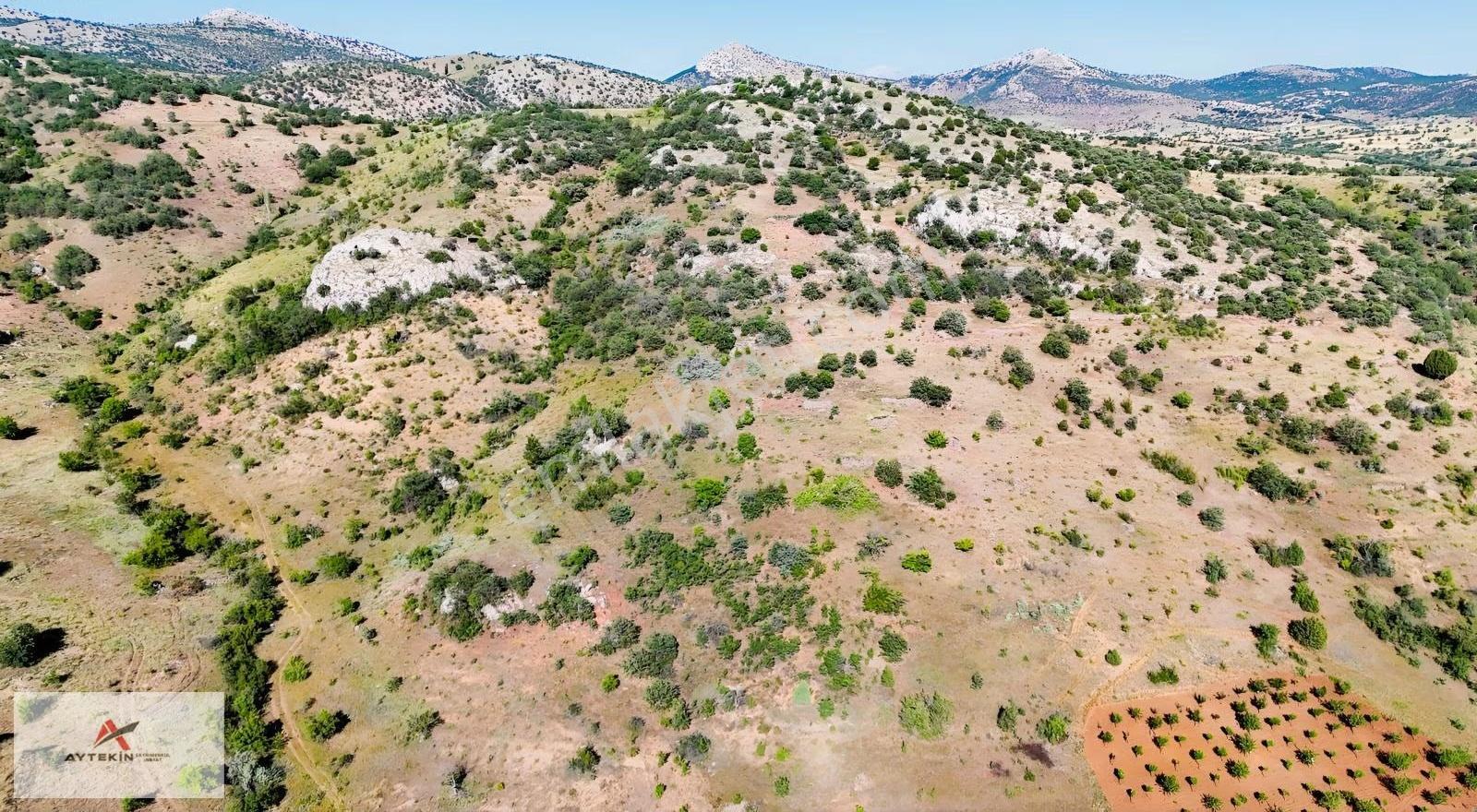 Güneysınır Gürağaç Mahallesinde 635 M² Müstakil Tapulu Bağ - Görsel 6