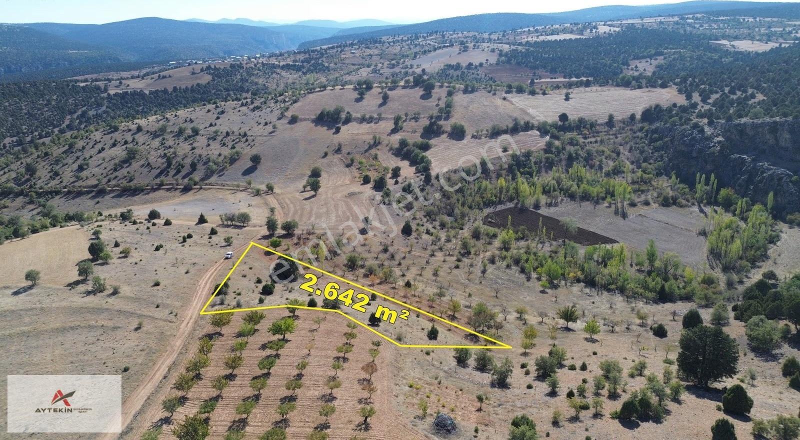 Akören Belkuyu Mahallesinde Yola Sıfır 2.642 M² Müstakil Tarla - Görsel 2