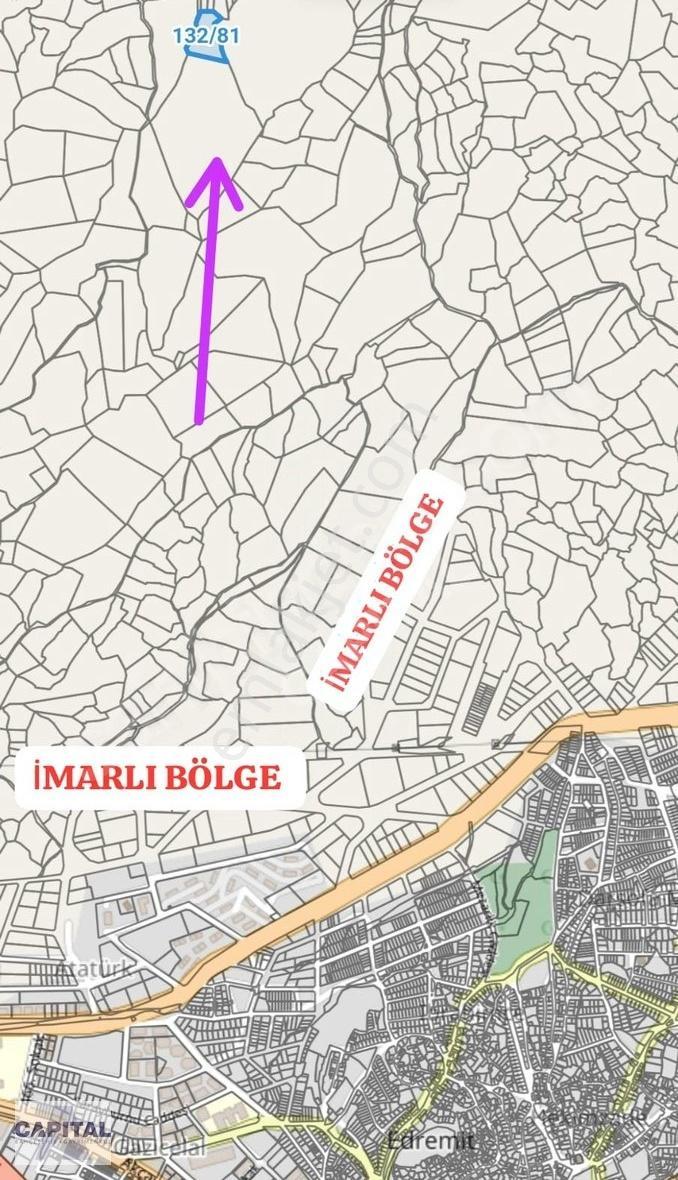 Balıkesir Edremit'te Yaklaşık 6000m2 Zeytinlik - Görsel 5