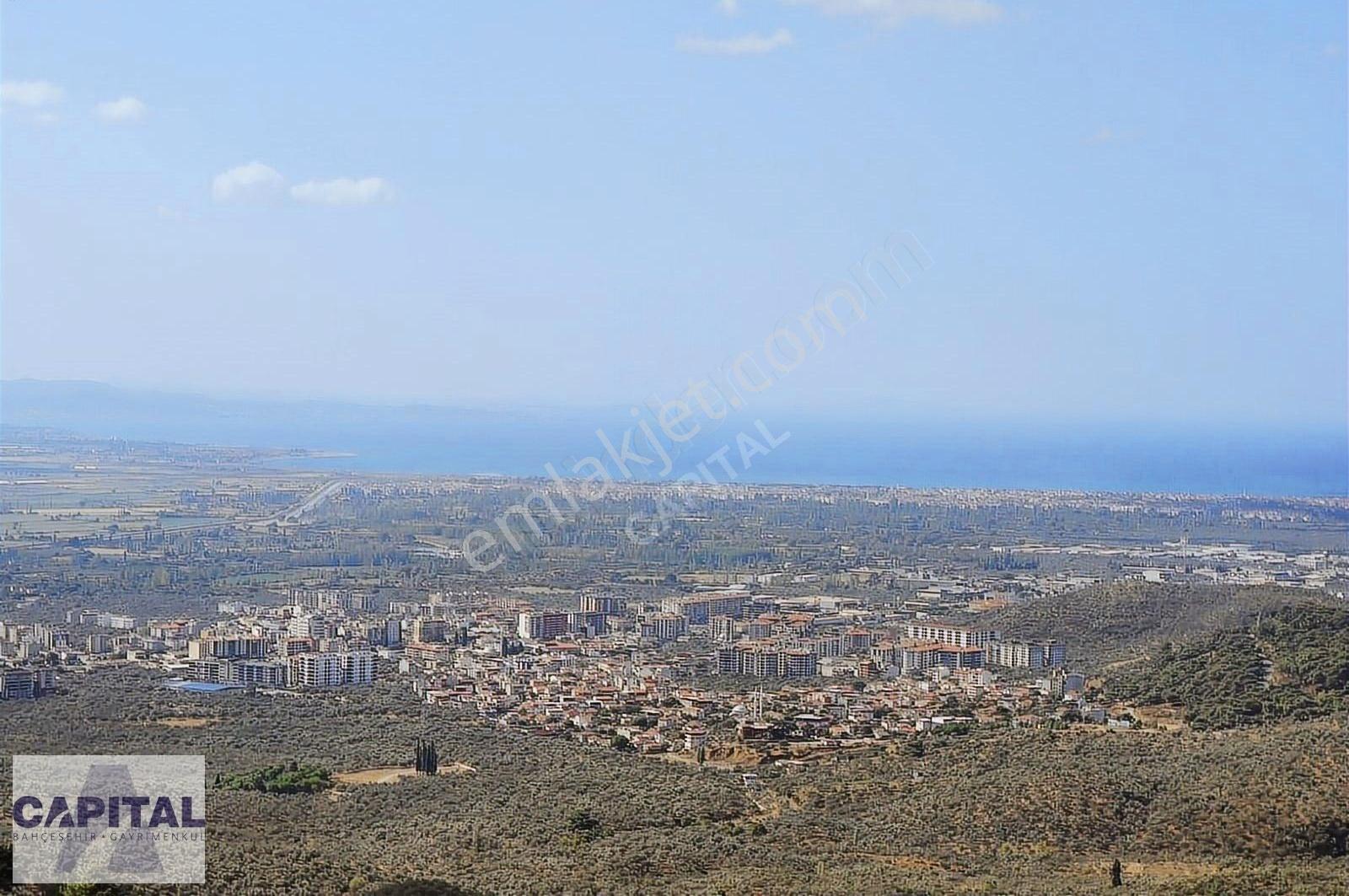 Balıkesir Edremit'te Yaklaşık 6000m2 Zeytinlik - Görsel 12