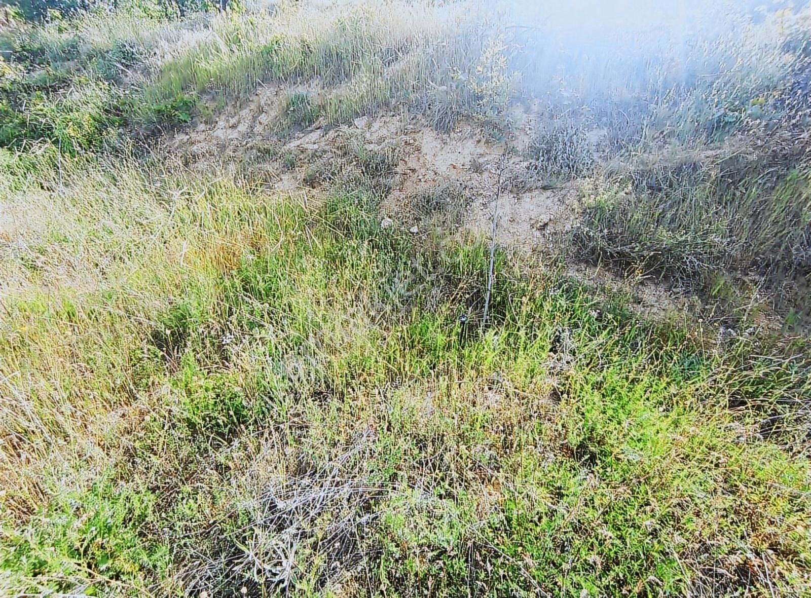 İkizler Gayrimenkul'den Molla Kasımda Satılık 978 M2 Arsa.... - Görsel 4