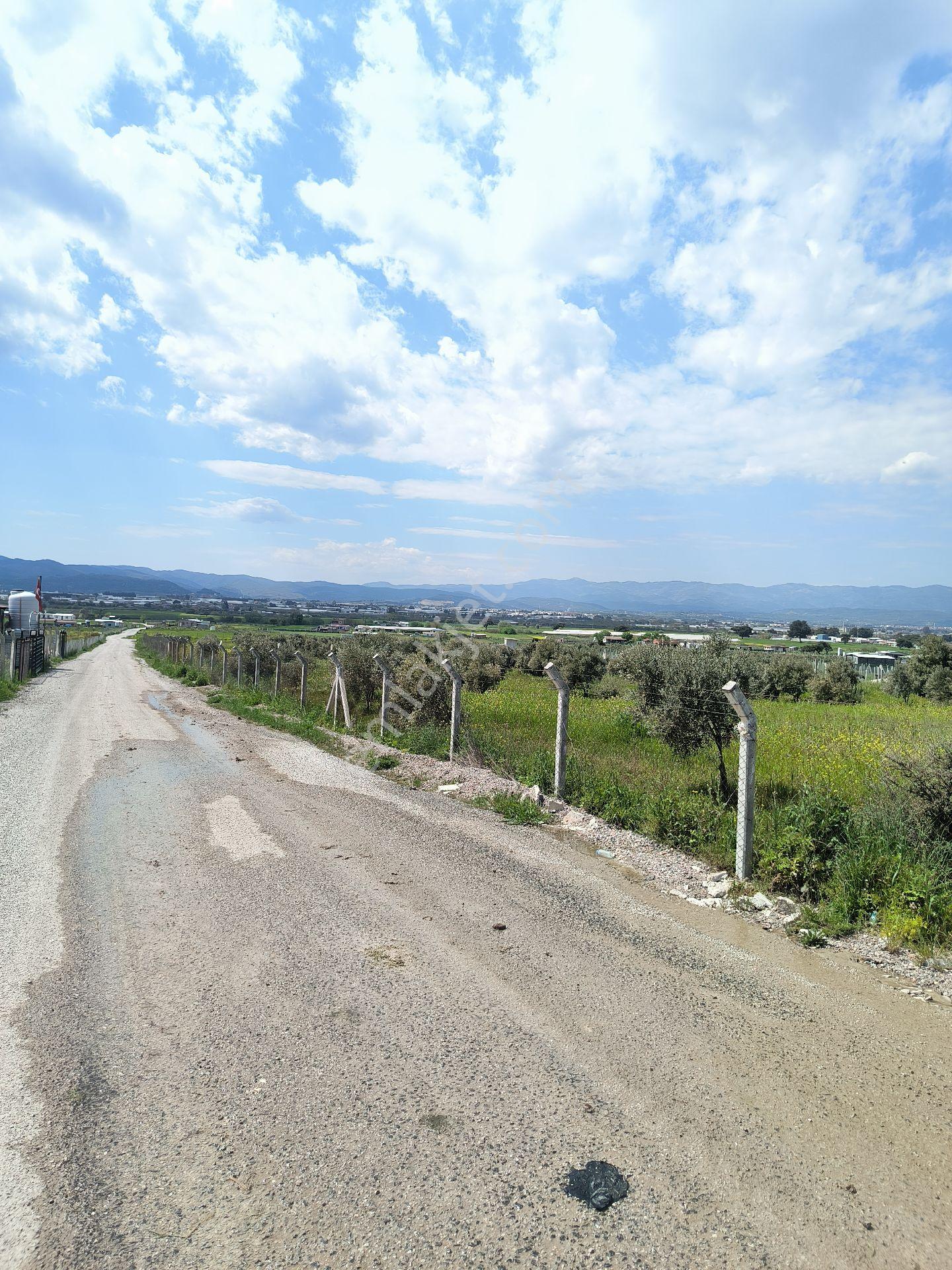 Satılık Resmi Tapulu Hobi Bahçesi Kooperatif Değildir - Görsel 10