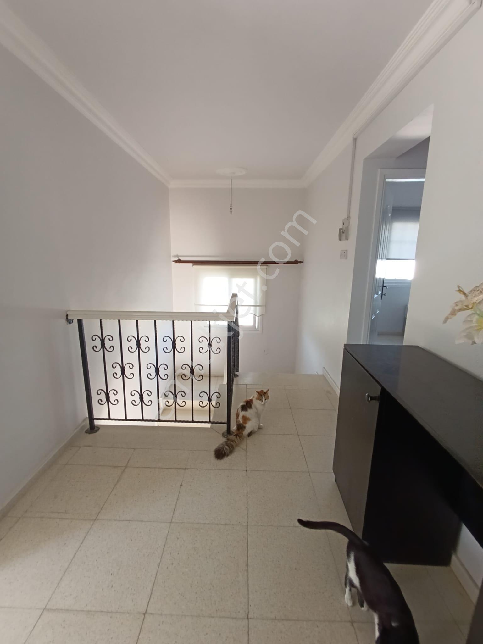 Satılık Luks Sahil Yoruyus Yolla Yakın Villas– Hayalinizdeki Ev Ve Yatırım Fırsatı - Görsel 23